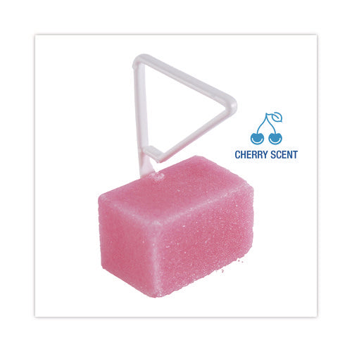 Para Toilet Bowl Deodorizer Block, Cherry Scent, Pink, 4 Oz, 12/box