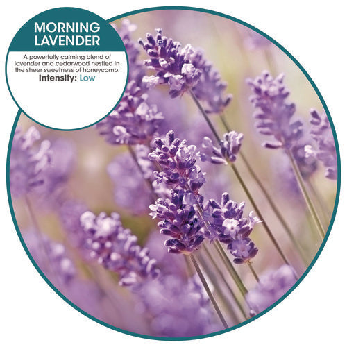 Ourfreshe Refills, Morning Lavender, 6/box