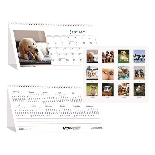 Earthscapes Recycled Desk Tent Monthly Calendar, Puppies Photography, 8.5 X 4.5, White Sheets, 12-month (jan To Dec): 2026
