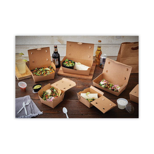 Earthchoice Onebox Paper Box, 77 Oz, 9 X 4.85 X 2.7, Brown, 162/carton