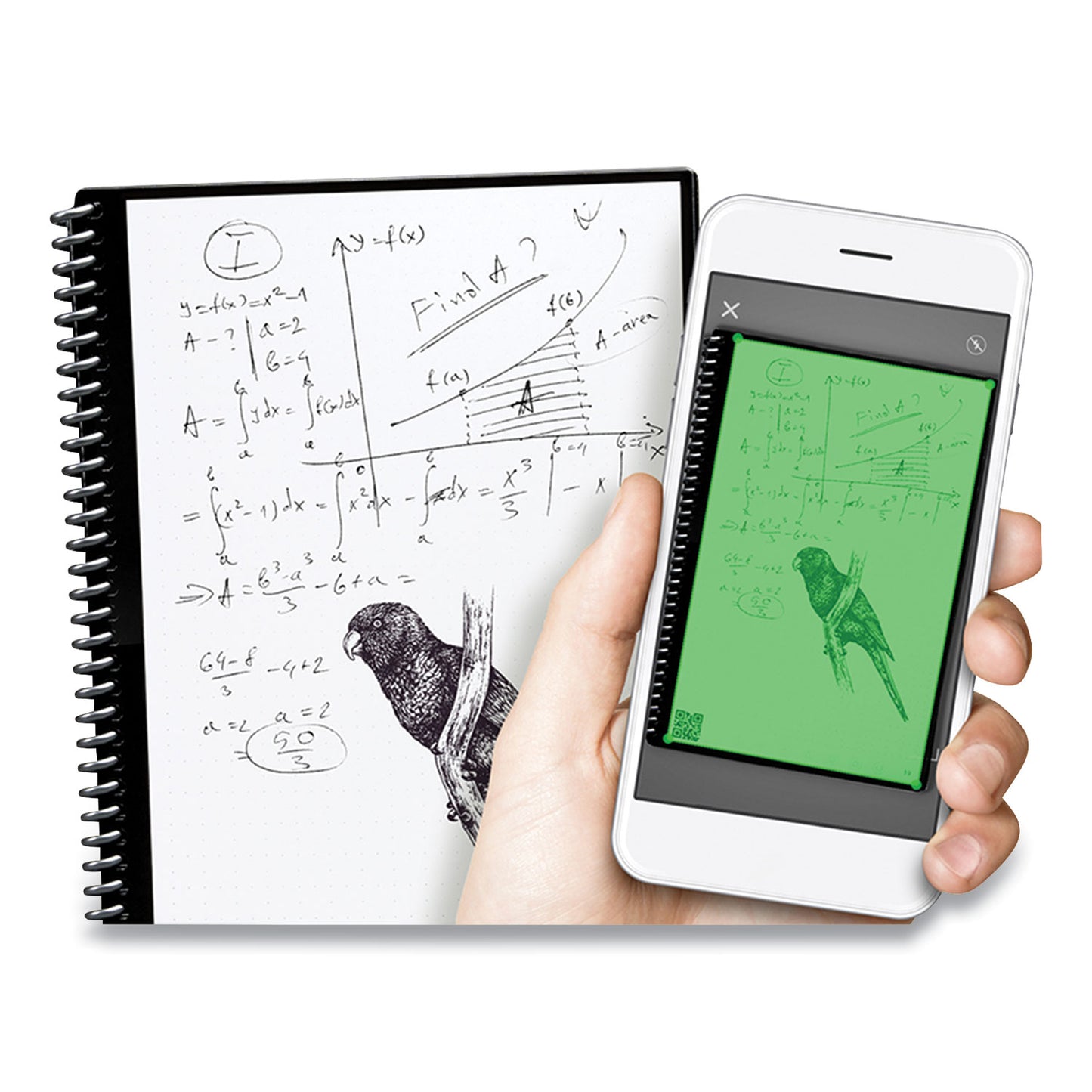 Core Smart Notebook, Dotted Rule (4 Sq/in), Neptune Teal Cover, (16) 11 X 8.5 Sheets