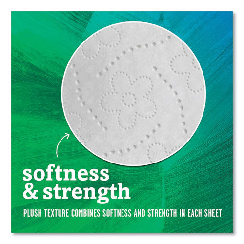 100% Recycled Bathroom Tissue, Individually Wrapped Rolls, Septic Safe, 2-ply, White, 500 Sheets/roll, 60 Rolls/carton