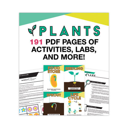 In A Flash Usb, Plants, Grades K To 3, 191 Pages