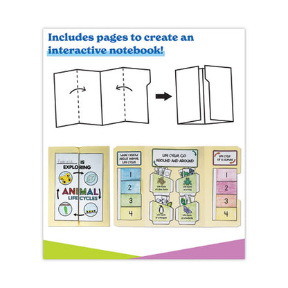 In A Flash Usb, Animal Lifestyles, Grades K To 3, 225 Pages