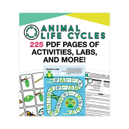 In A Flash Usb, Animal Lifestyles, Grades K To 3, 225 Pages