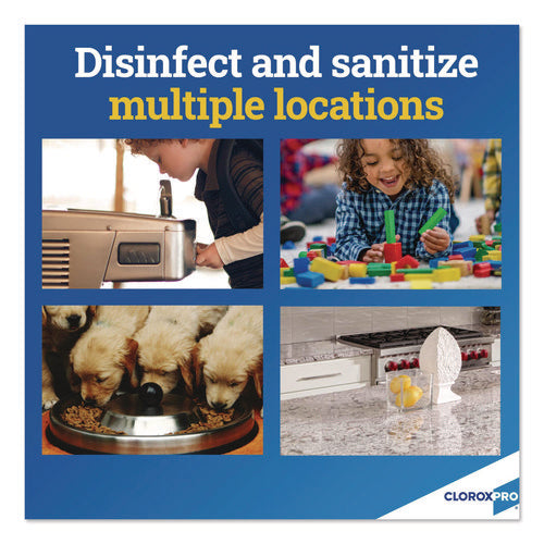 Anywhere Daily Disinfectant And Sanitizer, Unscented, 32 Oz Spray Bottle