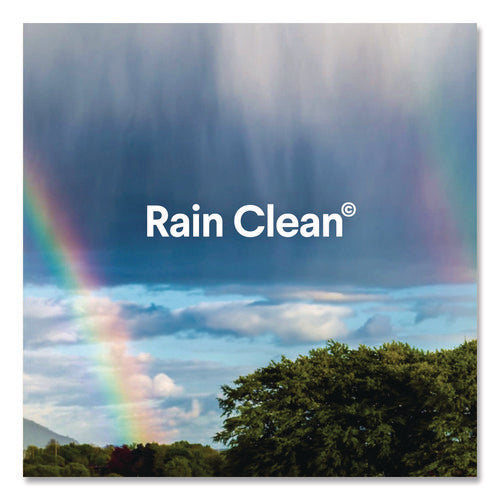 Clean-up Multi-surface Cleaner With Bleach, 32 Oz Spray Bottle, Rain Clean Scent, 9/carton