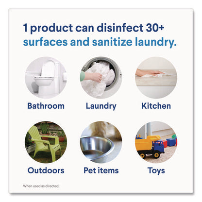 Concentrated Regular Disinfecting Bleach, 24 Oz Bottle, 12/carton