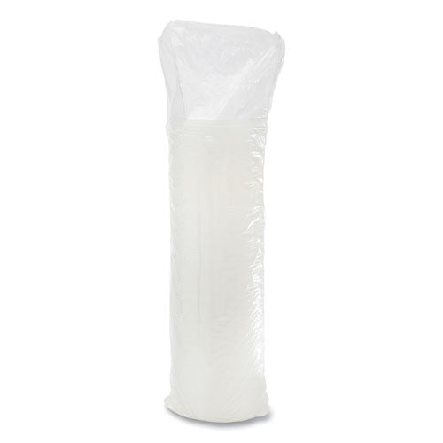 Plastic Lids, Straw-slot Lid, Fits 12 Oz To 24 Oz Hot/cold Foam Cups, Translucent, 100/pack, 10 Packs/carton