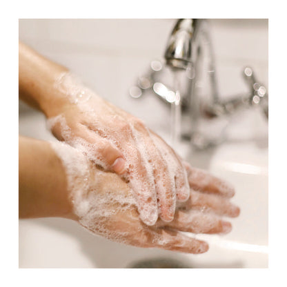 Basics Liquid Hand Soap, Fresh Floral Scent, 7.5 Oz Pump Bottle
