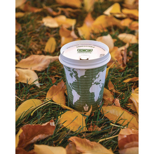 World Art Renewable And Compostable Insulated Hot Cups, 12 Oz, Paper, Brown/white, 40/pack, 15 Packs/carton