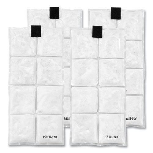 Chill-its 6250 Lightweight Phase Change Cooling Packs, 6 X 13, 4/pack