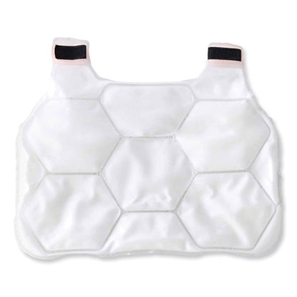 Chill-its 6220 Phase Change Cooling Vest Charge Packs, Small/medium, 12 X 16.25, 2/pack