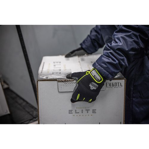 Proflex 850 Insulated Freezer Gloves, En388: 3x22b, 9" Long, Xx-small, Black, Pair