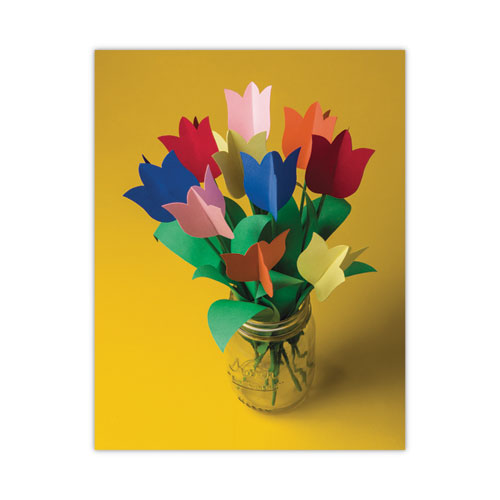 Tru-ray Construction Paper, 76 Lb Text Weight, 9 X 12, Assorted Standard Colors, 50/pack