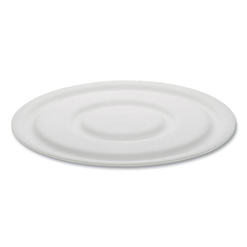 Cake Circle, 9" Diameter X 1" H, White, Foam, 125/pack, 4 Packs/carton