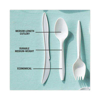 Fieldware Cutlery, Mediumweight Spoon, Plastic, White, 1,000/carton