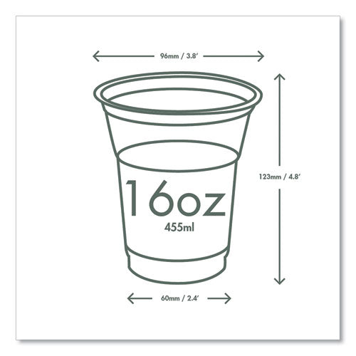 96-series Cold Cup, 16 Oz, Plastic, Clear/green, 1,000/carton
