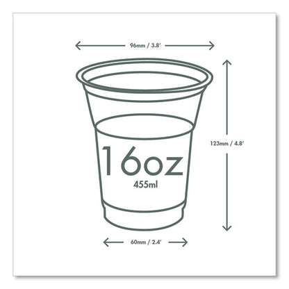 96-series Cold Cup, 16 Oz, Plastic, Clear/green, 1,000/carton