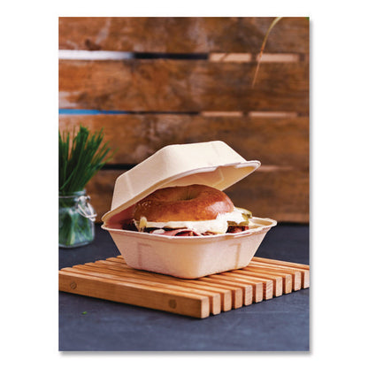 Nourish Molded Fiber Takeout Containers, Compostable, 5.9 X 5.9 X 2.9, White, Sugarcane, 400/carton