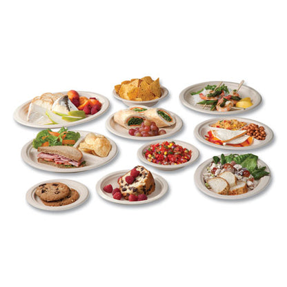 Molded Fiber Tableware, Compostable, Plate, Sugarcane, 6" Dia, White, 1,000/carton